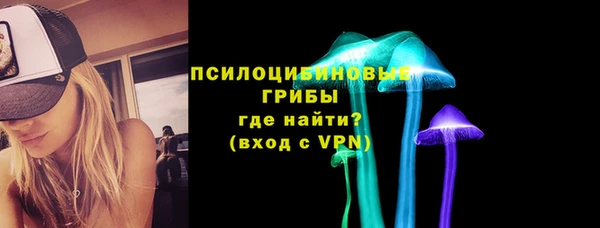 мдма Богородицк