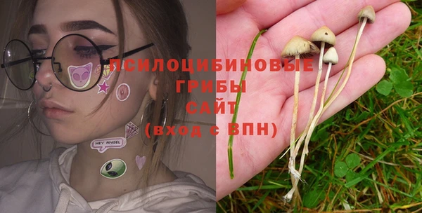 мдма Богородицк
